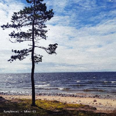 hEar 01: Symphocat - Metarave
