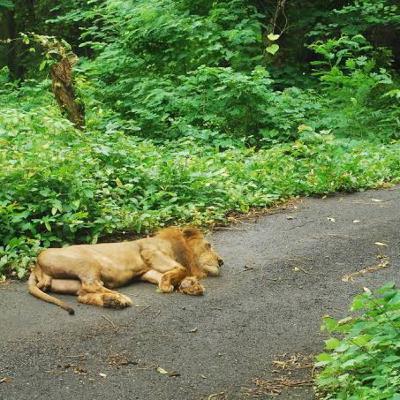 National Parks in India 🇮🇳 Part-1