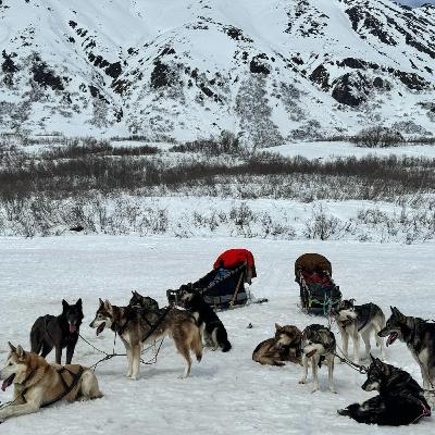 Racing Sled Dogs Through the Alaskan Wilderness with Kristy & Anna Berington