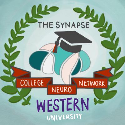 The College Neuro Network: Western University from a Professor of Neuroscience