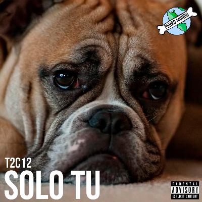 PERRO MUNDO SOLO TU T2C12
