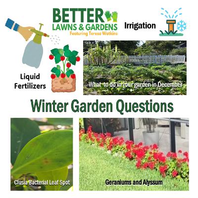 S2 Ep409: Better Lawns and Gardens - Hour 1 Garden Questions December 13, 2025
