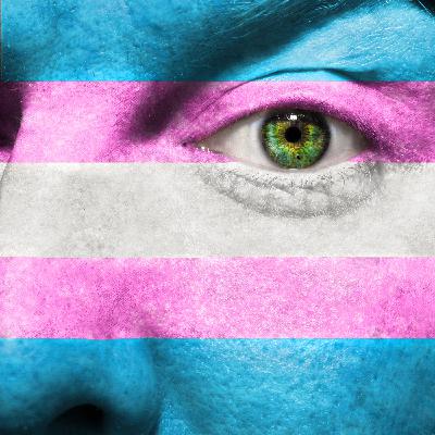 VDE 1x14 - Transexualidad y Falsos Mesías VDE 1x14 - Transexualidad y Falsos Mesías