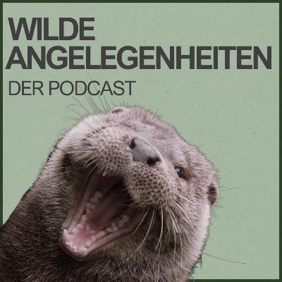 WA07 - Waschbären: clever, niedlich, invasiv