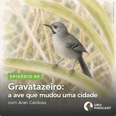 #69 - O Gravatazeiro com Aran Cardoso #69 - O Gravatazeiro com Aran Cardoso