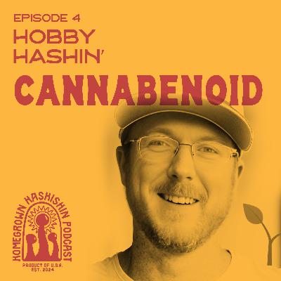 Hobby Hashin With Cannabenoid