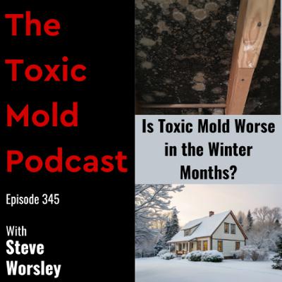 EP 345: Is Toxic Mold Worse in the Winter Months EP 345: Is Toxic Mold Worse in the Winter Months
