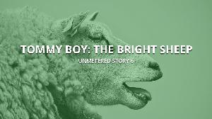 "Tommy Boy: The Bright Sheep of the Family" - unMetered Story 6