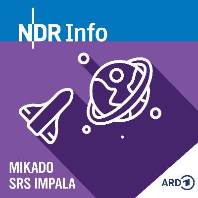 Mitredezeit: Wie waren eure Sommerferien?