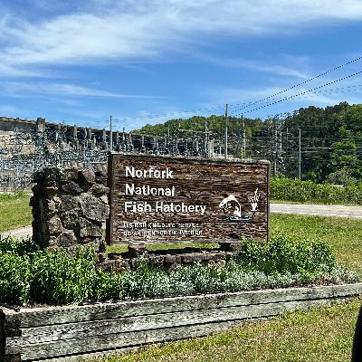 Norfork National Fish Hatchery