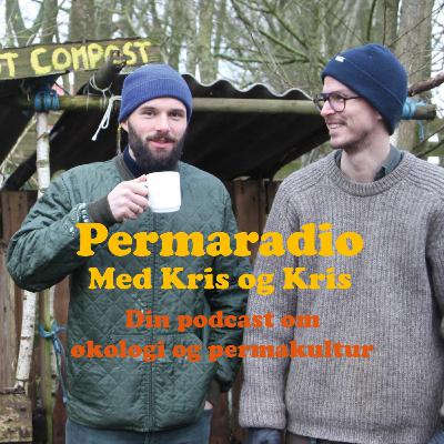 Permaradio #6 Vand i Haven
