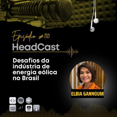 #110 Desafios da indústria de energia eólica no Brasil