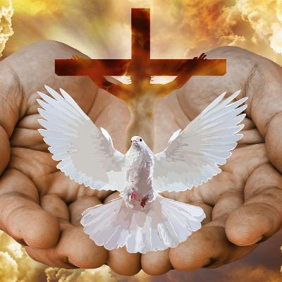 Do You Believe In The Trinity Or Not Part Four? Do You Believe In The Trinity Or Not Part Four?