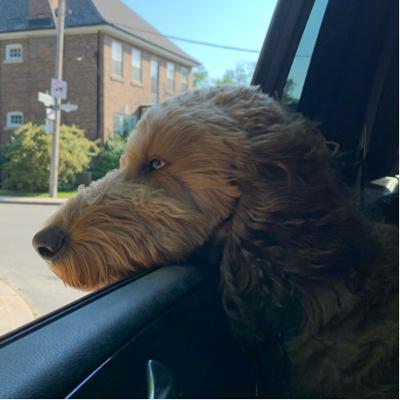 Oka Crisis Podcast CHC2D