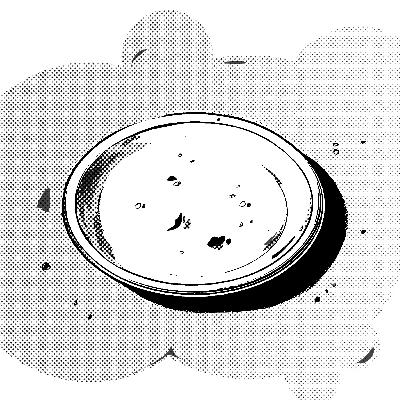 Alma dans la Sphère - Chapitre XXXI