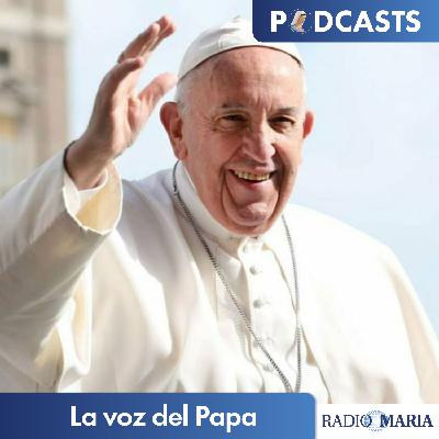 La voz del Papa 27/05/25