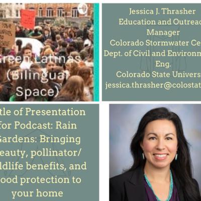 Rain Gardens, Rain Roofs, Green Infrastructure and Flood Protection to our Homes by Jessica Thrasher