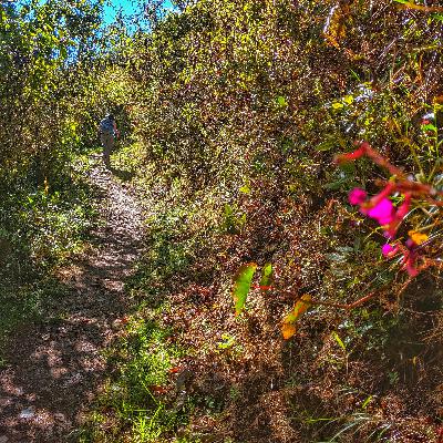 Episode 23 - Journey Past Salkantay: Day 4 Episode 23 - Journey Past Salkantay: Day 4