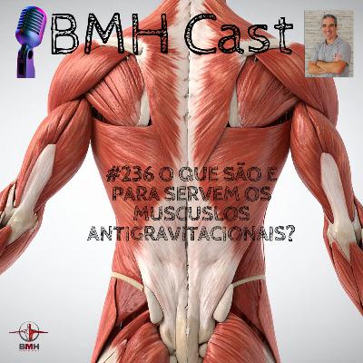 #236 O QUE SÃO E PARA SERVEM OS MUSCULOS ANTIGRAVITACIONAIS? #236 O QUE SÃO E PARA SERVEM OS MUSCULOS ANTIGRAVITACIONAIS?