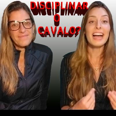 Disciplina | Cavalgando Livres #006