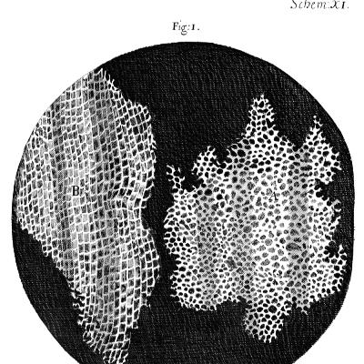 科学革命#09 巨人の肩に【ロバートフック】 科学革命#09 巨人の肩に【ロバートフック】