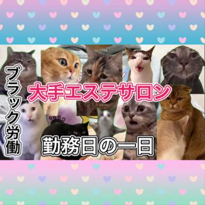 大手エステサロン正社員勤務時代の一日 #猫マニ #猫ミーム 大手エステサロン正社員勤務時代の一日 #猫マニ #猫ミーム