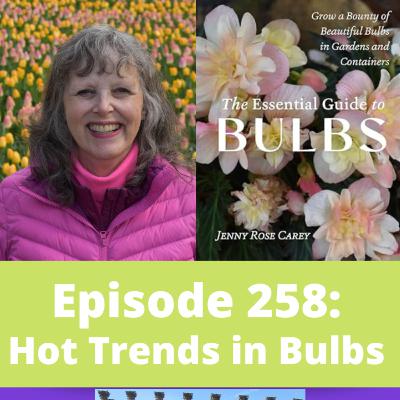 Hot Trends in Bulbs Hot Trends in Bulbs