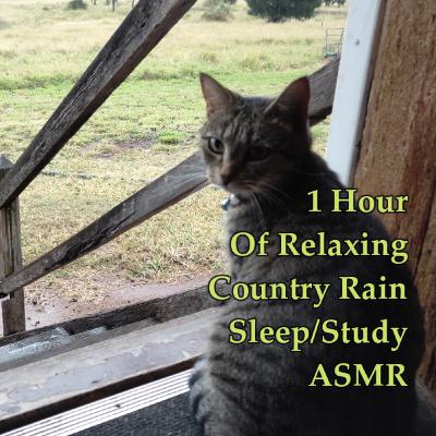 1 Hour Of Gentle Rain Sound For Sleep/Study