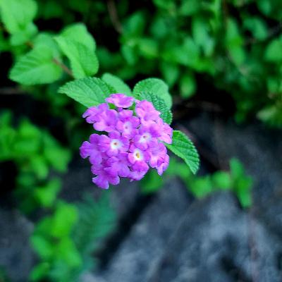 EP.32 中秋月圓之歌曲聯想 EP.32 中秋月圓之歌曲聯想