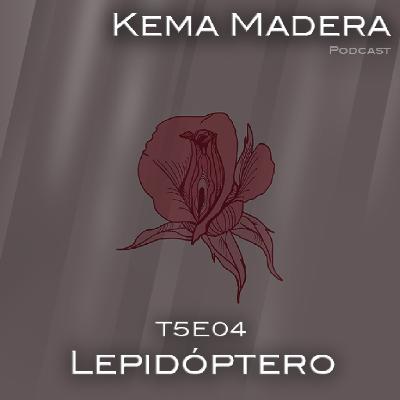 5x04 - Lepidóptero 5x04 - Lepidóptero