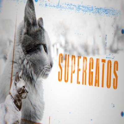 Cuarto Milenio: Supergatos