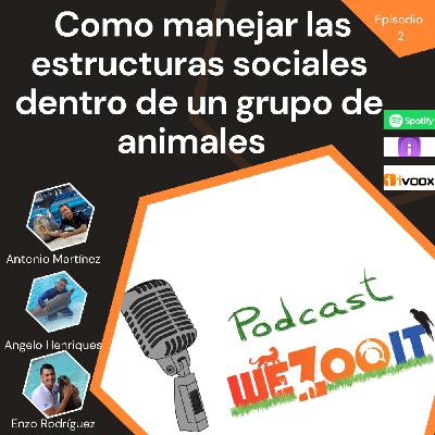 #2 Como manejar las estructuras sociales dentro de un grupo de animales