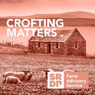 Starting up in Crofting