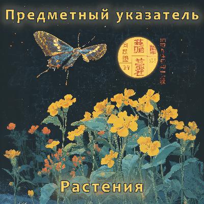 Растения: тонкость в языке, бражники в азоте, фотоны в арабидопсисе Растения: тонкость в языке, бражники в азоте, фотоны в арабидопсисе