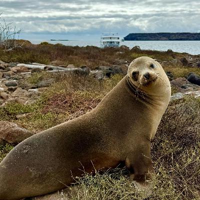 #172: Exploring Galápagos National Park