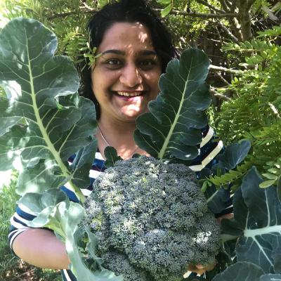 Corn, cauliflowers, a resilient peach, and the elusive Head Potato Award