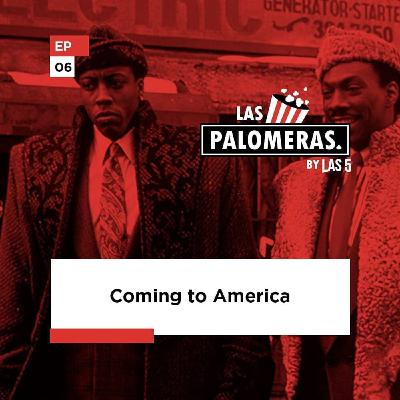 6. Coming to America [Las Palomeras]