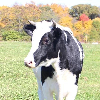 Power and Weakness Power and Weakness