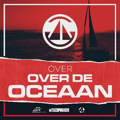 #2 Haaien, orka’s en dolfijnen. Over dieren in de oceaan.