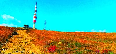 Let There Be Rock - 06.02.2024 - Rock progressif français, d'hier et d'aujourd'hui