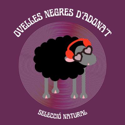 OVELLES NEGRES 01/11/2025