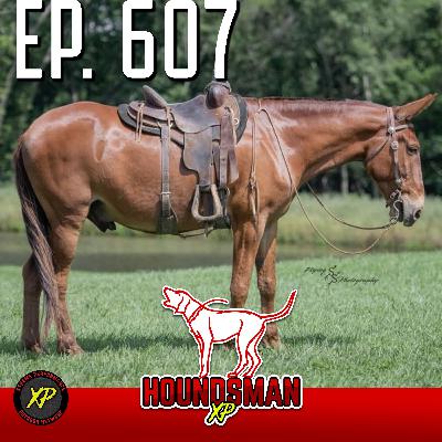 Lets Go Mule Shopping w/ Brock Milam