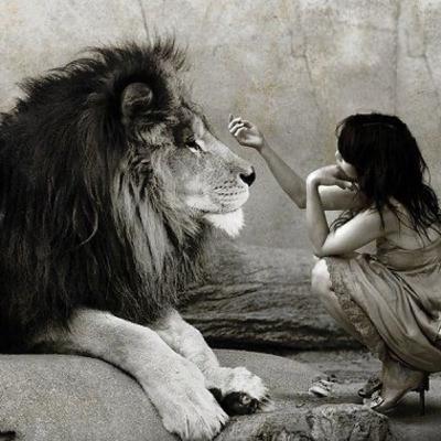 🦁 Lion’s Gate Portal ✨ Guided Meditation ♾️ 🦁 Lion’s Gate Portal ✨ Guided Meditation ♾️