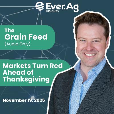 The Grain Feed (Audio Only): Markets Turn Red Ahead of Thanksgiving - November 19, 2025