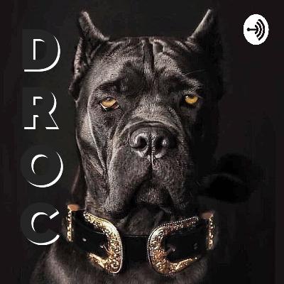 Cane Corso Tudo Sobre a Raça - Drocbr Cane Corso Tudo Sobre a Raça - Drocbr