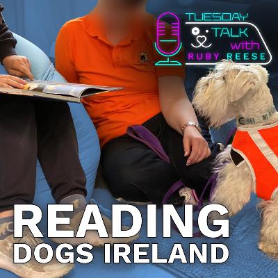 Reading Dogs Ireland