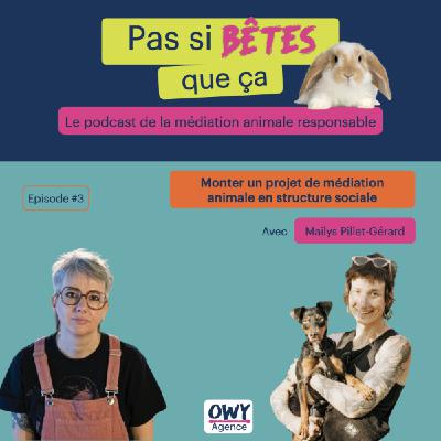Episode 3 - Mailys Pillet-Gérard, assistante sociale au SAMU Social de Lyon Episode 3 - Mailys Pillet-Gérard, assistante sociale au SAMU Social de Lyon