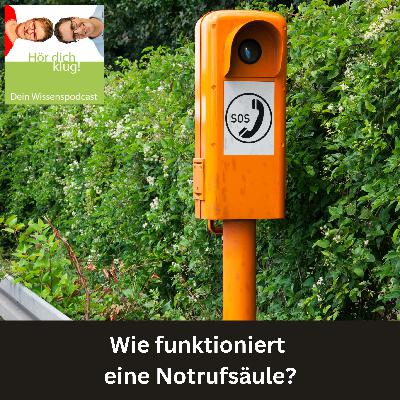 Wie funktioniert eine Notrufsäule? Wie funktioniert eine Notrufsäule?