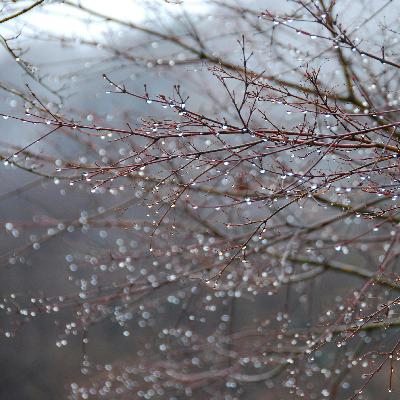 Soft Winter Rain 8 Hours | Rain Sound for Sleep & Relaxation