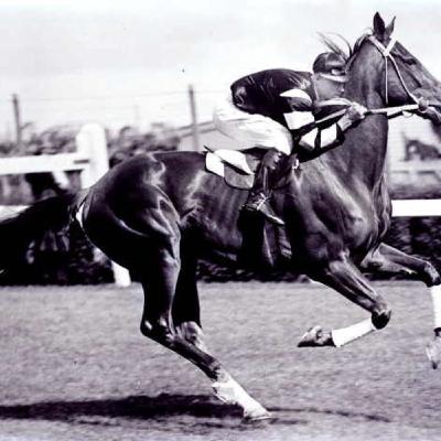 4: Phar Lap – Huge Wins, Mysteries, & Assassins 4: Phar Lap – Huge Wins, Mysteries, & Assassins